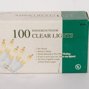 100 Indoor/Outdoor Clear Lights